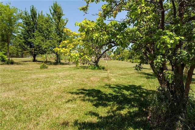 906 S Buckner Tarsney Rd, Buckner, MO 64016 - photo 7
