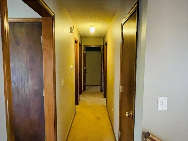 1601 Holman St, Leavenworth, KS 66048 - photo 13