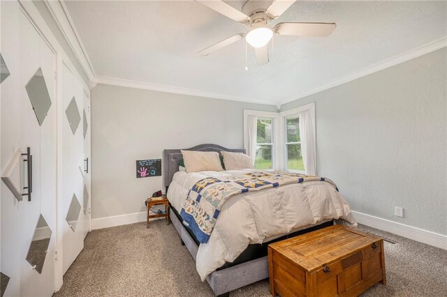 210 E Moss St, Lawson, MO 64062 - photo 12