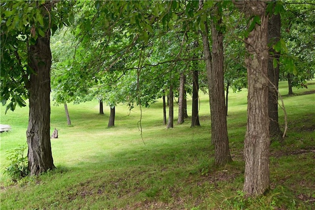 29601 Cottenwood Ln, Macon, MO 63552 - photo 26