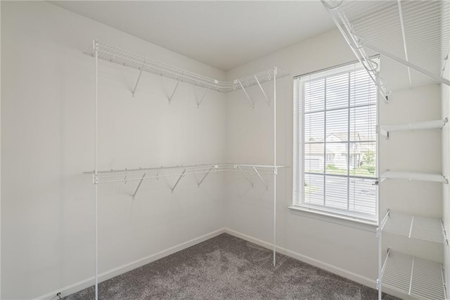 21380 W 117th Ter, Olathe, KS 66061 - photo 21