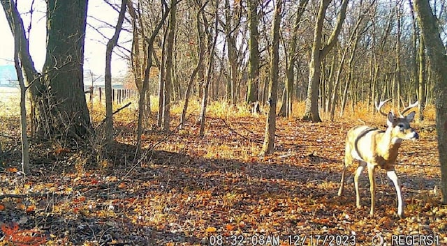 15802 Short Ln, Smithville, MO 64089 - photo 6