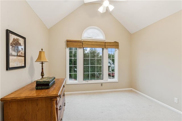 15498 Cedar Ln, Basehor, KS 66007 - photo 20