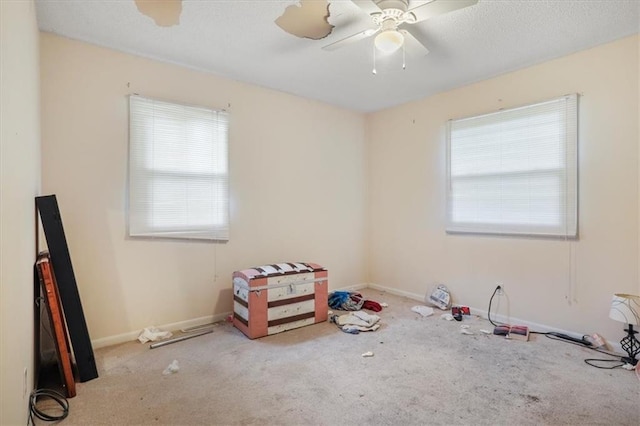 2317 NW Kensington Ct, Blue Springs, MO 64015 - photo 13