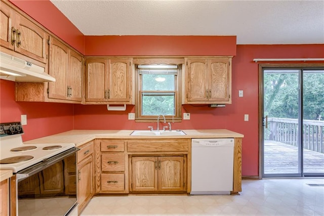 6004 N Broadway St, Kansas City, MO 64118 - photo 11