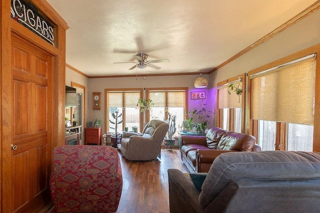 703 Jersey St, Baldwin City, KS 66006 - photo 24
