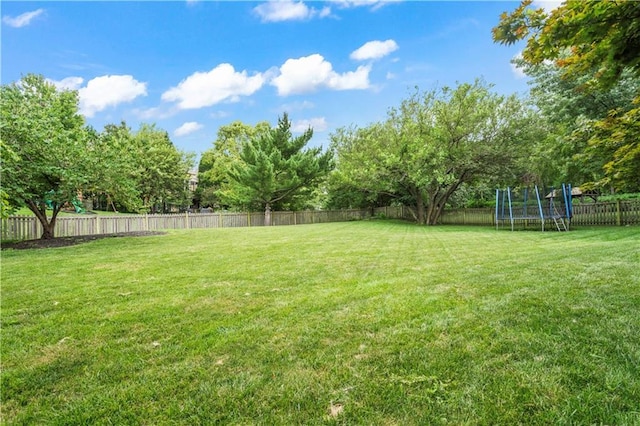 14707 Hadley St, Overland Park, KS 66223 - photo 44