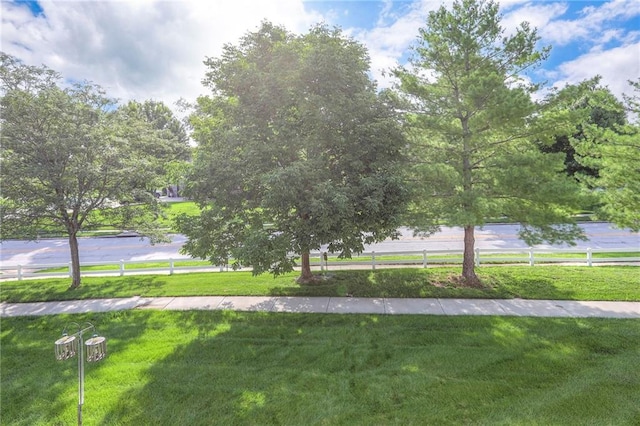 4813 SW Soldier Dr, Lees Summit, MO 64082 - photo 53