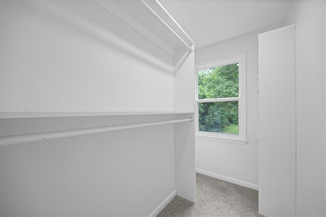 1303 Homer Ave, Kansas City, KS 66102 - photo 9