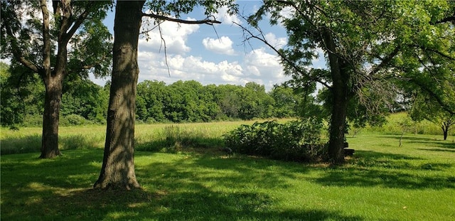 18455 NW 112th St Ter, Platte City, MO 64079 - photo 3