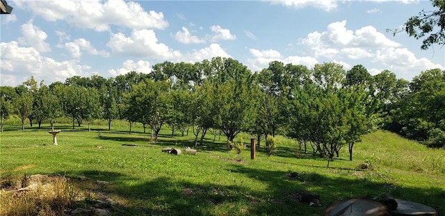 18455 NW 112th St Ter, Platte City, MO 64079 - photo 4