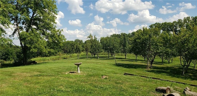 18455 NW 112th St Ter, Platte City, MO 64079 - photo 9