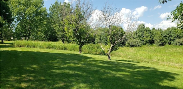 18455 NW 112th St Ter, Platte City, MO 64079 - photo 10