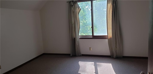 18455 NW 112th St Ter, Platte City, MO 64079 - photo 44