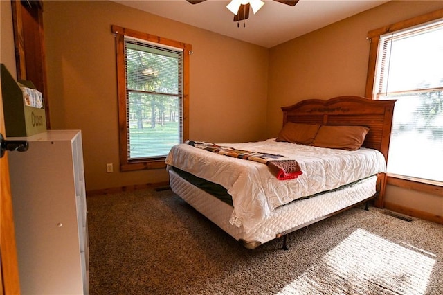 7310 NE 82nd Hwy, Osceola, MO 64776 - photo 30