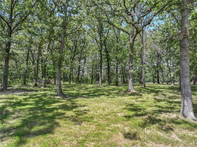 7310 NE 82nd Hwy, Osceola, MO 64776 - photo 38