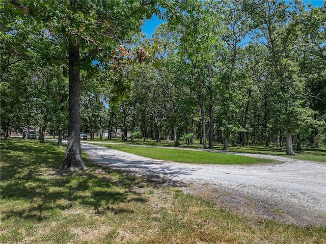 7310 NE 82nd Hwy, Osceola, MO 64776 - photo 39