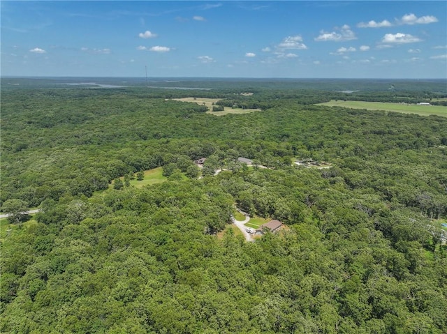 7310 NE 82nd Hwy, Osceola, MO 64776 - photo 41