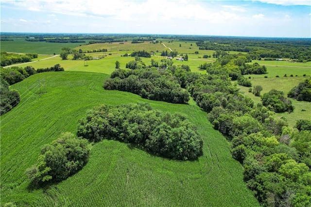 331 NE Hebron Rd, Maysville, MO 64469 - photo 54