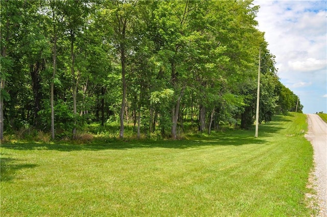 331 NE Hebron Rd, Maysville, MO 64469 - photo 65