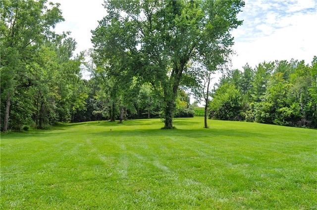 331 NE Hebron Rd, Maysville, MO 64469 - photo 67
