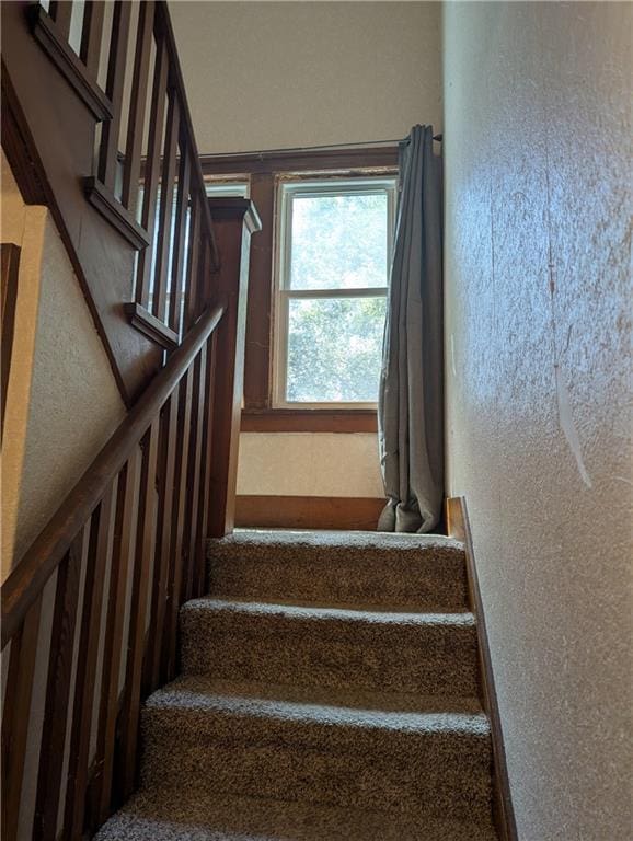 505 Shawnee St, Hiawatha, KS 66434 - photo 45
