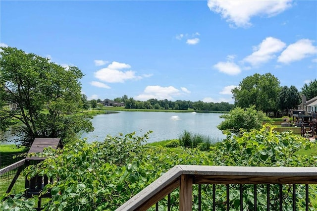 4213 SW Sapelo Dr, Lees Summit, MO 64082 - photo 34