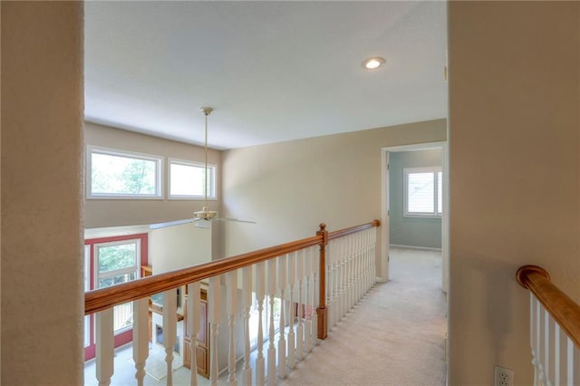8711 Crysler Ave, Kansas City, MO 64138 - photo 22