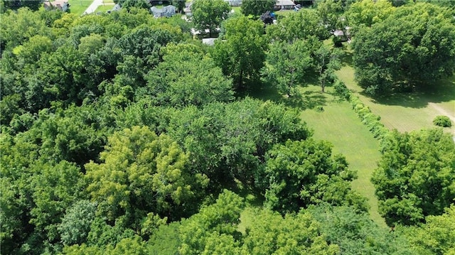 16104 E Cogan Ln, Independence, MO 64050 - photo 48
