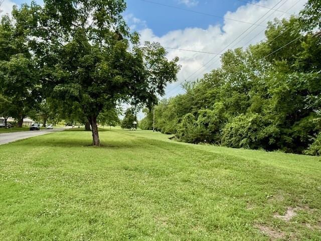 715 Forrest Ave, Lawrence, KS 66044 - photo 9