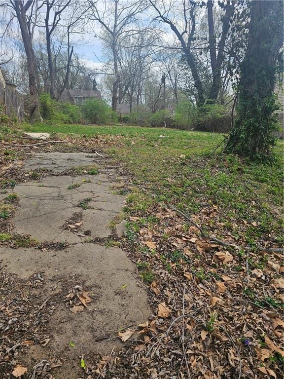 6737 Agnes Ave, Kansas City, MO 64132 - photo 2