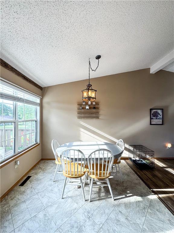 106 S Elm St, Blue Eye, MO 65611 - photo 12