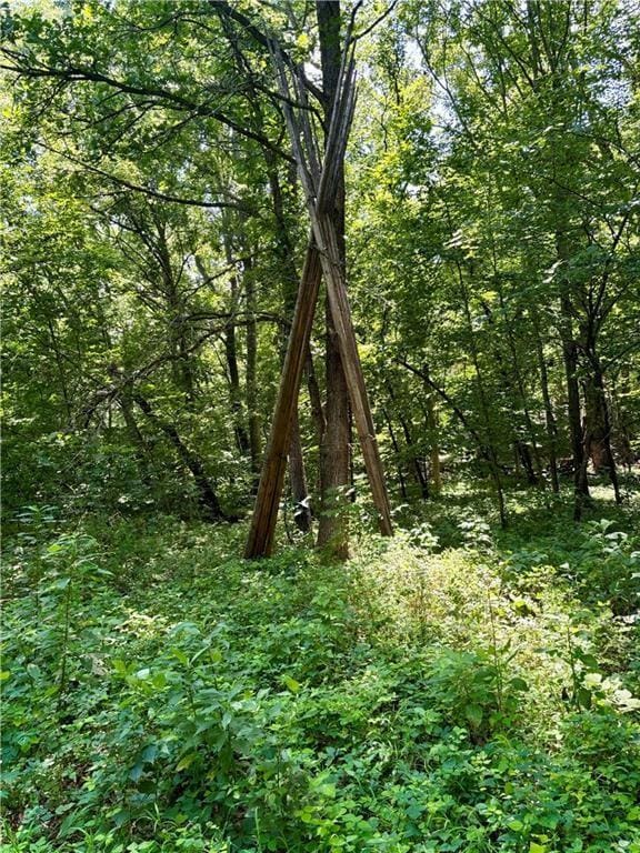 00000 W 750th Rd, Mound City, KS 66056 - photo 2