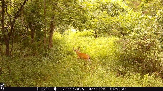00000 W 750th Rd, Mound City, KS 66056 - photo 3