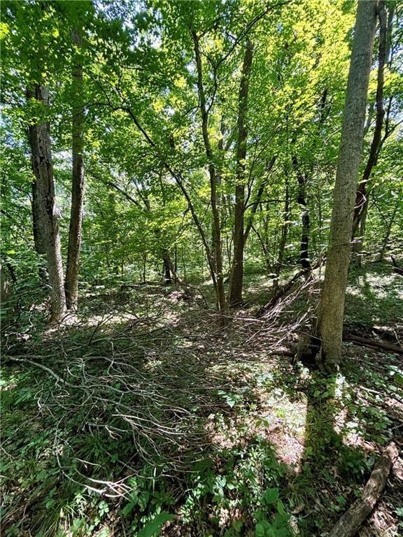 00000 W 750th Rd, Mound City, KS 66056 - photo 4