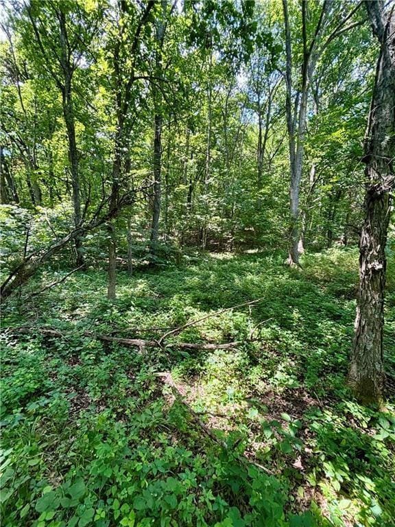 00000 W 750th Rd, Mound City, KS 66056 - photo 5
