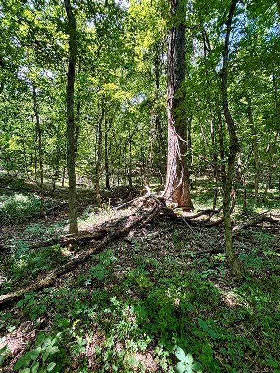 00000 W 750th Rd, Mound City, KS 66056 - photo 9