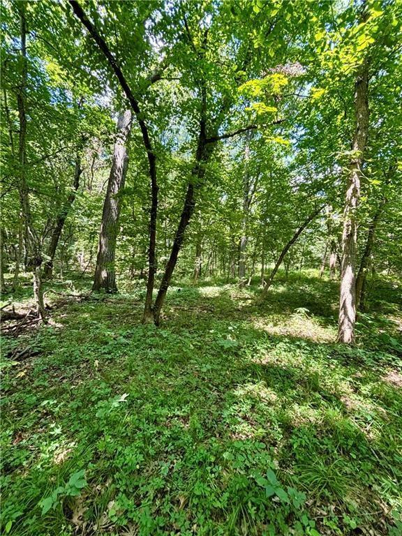 00000 W 750th Rd, Mound City, KS 66056 - photo 10