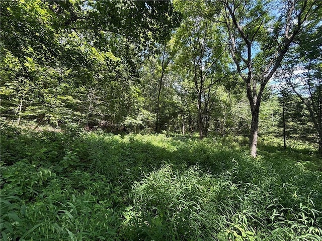 00000 W 750th Rd, Mound City, KS 66056 - photo 11