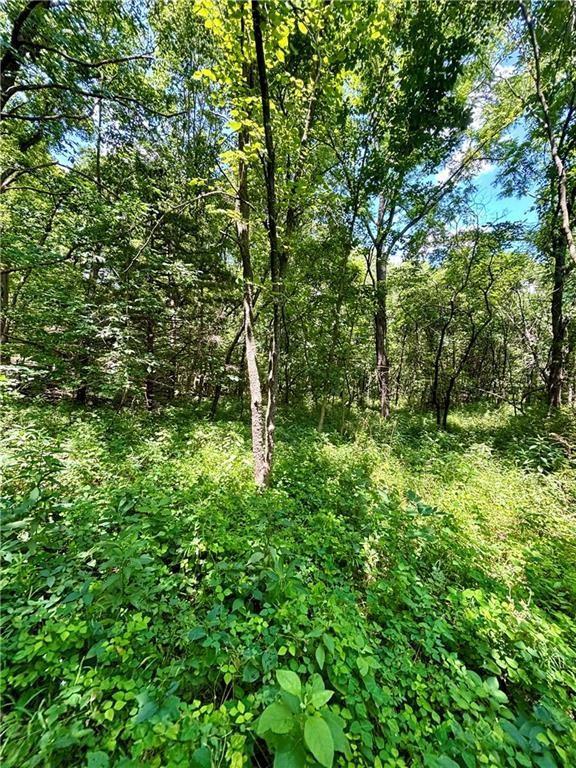 00000 W 750th Rd, Mound City, KS 66056 - photo 12