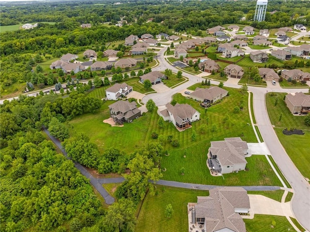9201 SW Whispy Way, Blue Springs, MO 64064 - photo 42