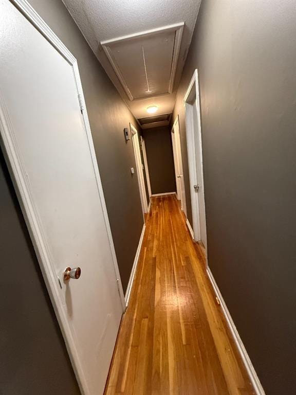 3301 E 106th Ter, Kansas City, MO 64137 - photo 19