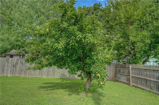 1024 SE Dover Dr, Lees Summit, MO 64081 - photo 48