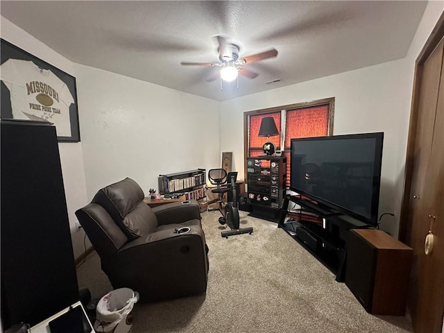110 S Fillmore St, Maryville, MO 64468 - photo 16