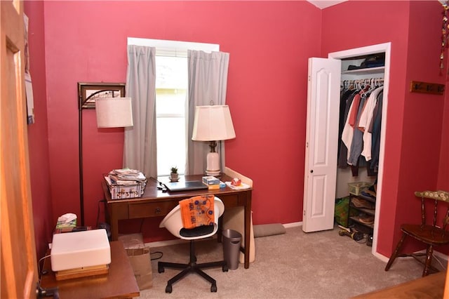 225 King St, Baldwin City, KS 66006 - photo 20