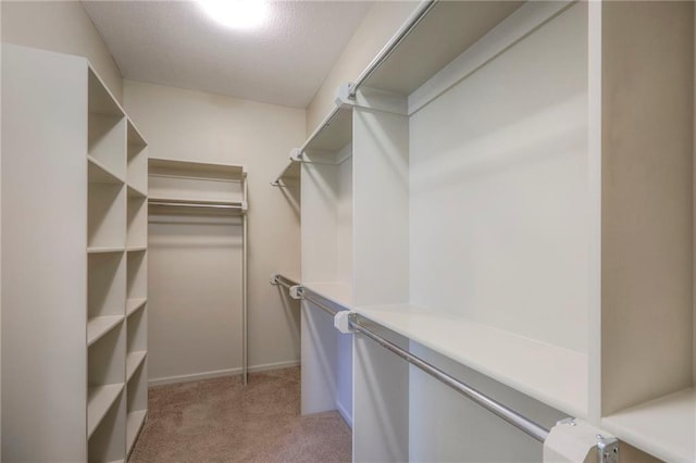 13774 W 141st Ter, Olathe, KS 66062 - photo 23
