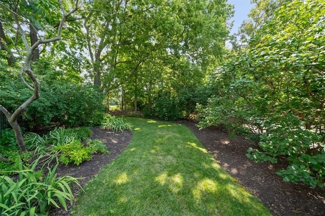 13215 Outlook St, Overland Park, KS 66209 - photo 45