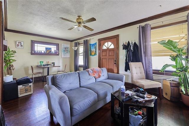 6210 Harrison St, Kansas City, MO 64110 - photo 5