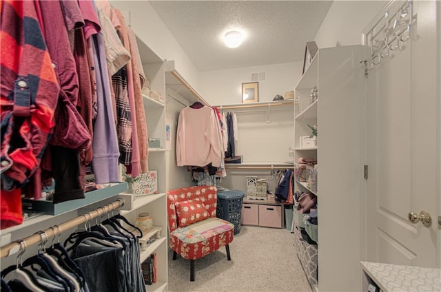 8623 N Liston Ave, Kansas City, MO 64154 - photo 17