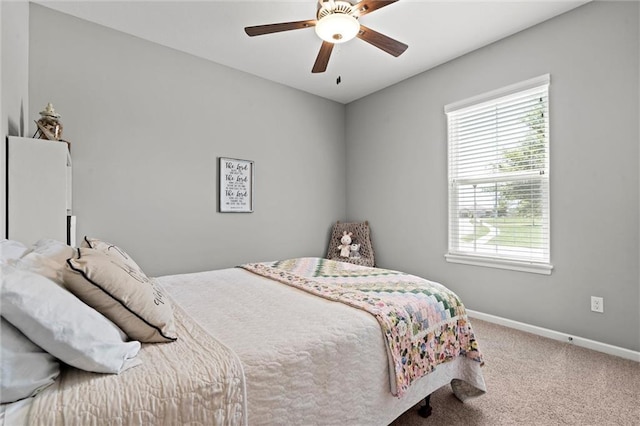 14141 S Pascal St, Olathe, KS 66061 - photo 27